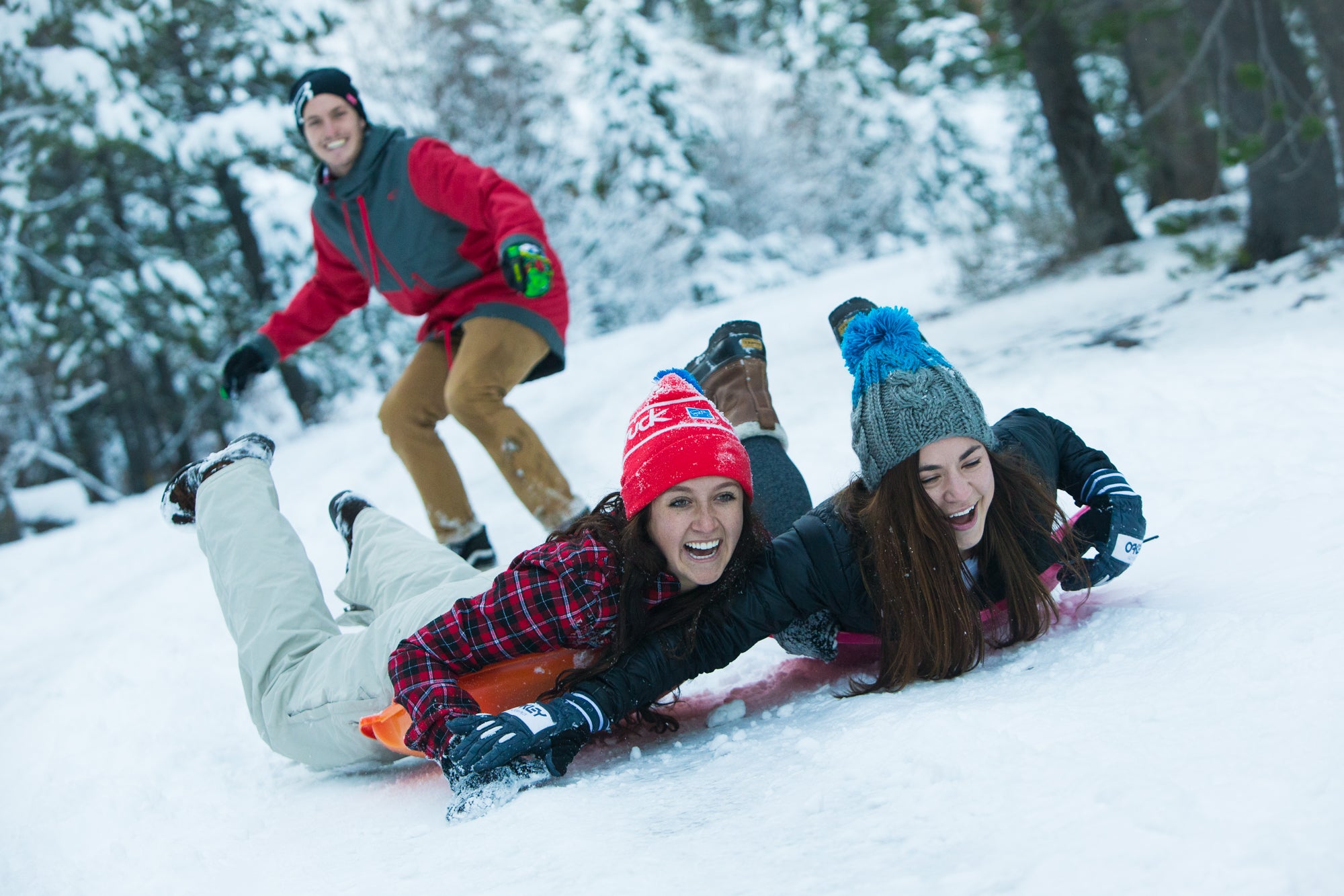 Holiday Gift Guide